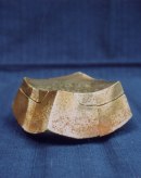 �ڂ�������