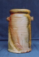 �ڂ�������