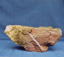 �ڂ�������